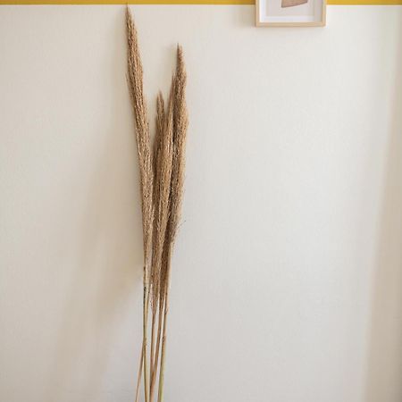 Artemis Apartments スタロス エクステリア 写真